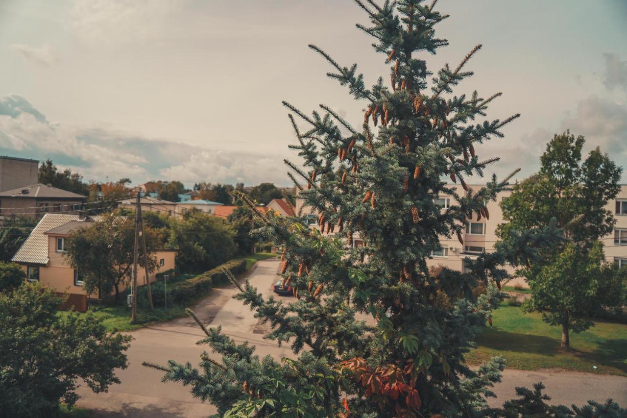 Hotell Paeaesuke Jõhvi Buitenkant foto